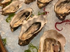 -咖啡苑 - 蔚藍夏日限定主题(永利皇宫店)
