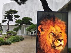 -罗红摄影艺术馆