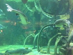 -华夏文旅海洋公园