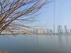 -金银湖国家城市湿地公园