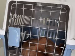 -美联众合动物医院·24h京西诊疗中心