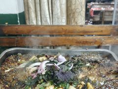 -湖南广播电视台娱乐频道