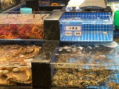 -东海怡品海鲜豆捞(舟宿夜江店)