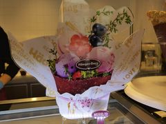 -哈根达斯(城西银泰店)
