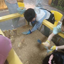 -神奇动物撸宠馆·羊驼·小浣熊·异宠(豫园店)