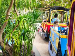 -三亚亚龙湾天域度假酒店