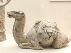 -辽宁省博物馆