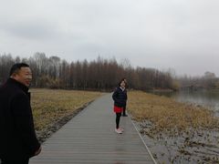 -溱湖国家湿地公园