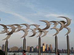 -秋水广场音乐喷泉