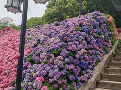 -苏州上方山国家森林公园