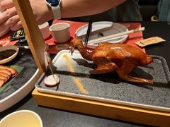 -羽鸽集·乳鸽专门店·地道顺德菜(岭南站店)