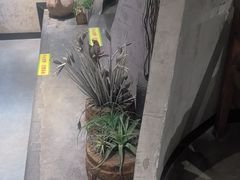 -红蕃干锅·脆皮香辣虾(南屏街金鹰店)