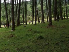 -硗碛藏寨·神木垒景区