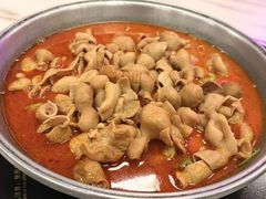 -彭记铁锅肥肠(东四总店)