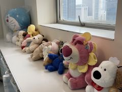 -汪说·狗咖·拼豆·宠物周边DIY(旺城大厦店)