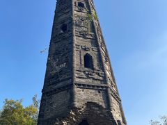 -上海佘山国家森林公园天马山园