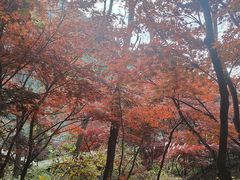 -崂山巨峰游览区