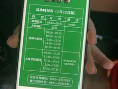 -野象谷景区