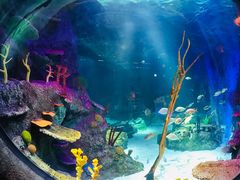 -沈阳海洋探索中心