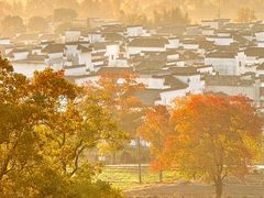 -塔川景区