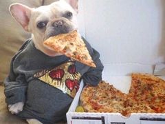 -吕氏疙瘩汤·私家菜馆(慈云寺店)