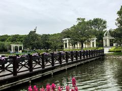 -上海鲜花港