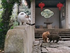 -雨花胜境