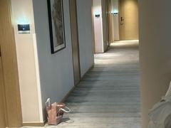 -杭州西湖东坡酒店