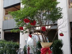 -The PEAT Coffee(深业中城店)