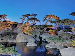 -罗红摄影艺术馆