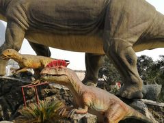 -陕西自然博物馆