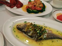 -老洋房花园饭店(绍兴路店)