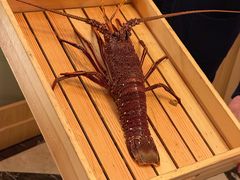 -香樟花园法式铁板烧(恒隆广场店)