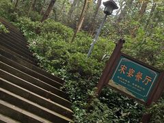 -宋宴(虎跑店)