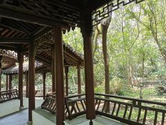 -上海佘山国家森林公园天马山园