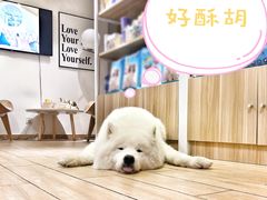 -Double Rui宠物酒店