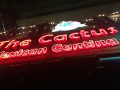 -Cactus墨西哥仙人掌餐厅