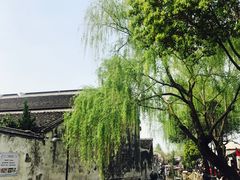 -狐狸家·酸奶酪专门店(平江路店)