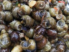 炒田螺-广宁炭炉鸡煲·富临门饭店