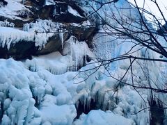 -黑龙潭风景区