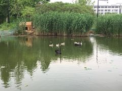 -江南大学(蠡湖校区)
