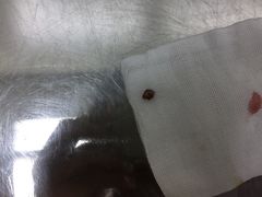 -东南大学附属中大医院(本部)