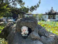 -八大山人梅湖景区