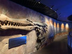 -迪拜水族馆及水下动物园