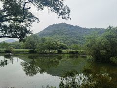 -八卦田遗址公园