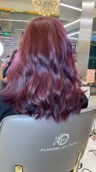 -潘多拉Hairsalon