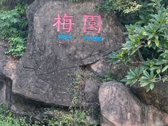 -神光山国家森林公园