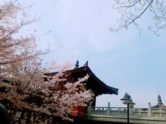 -西安青龙寺遗址景区