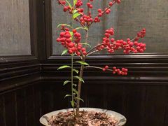 -31号公馆(黄兴广场白果园店)