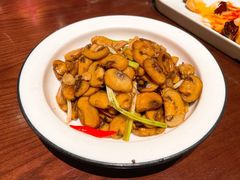 -成都娃娃花园餐厅 (南艺旗舰店)